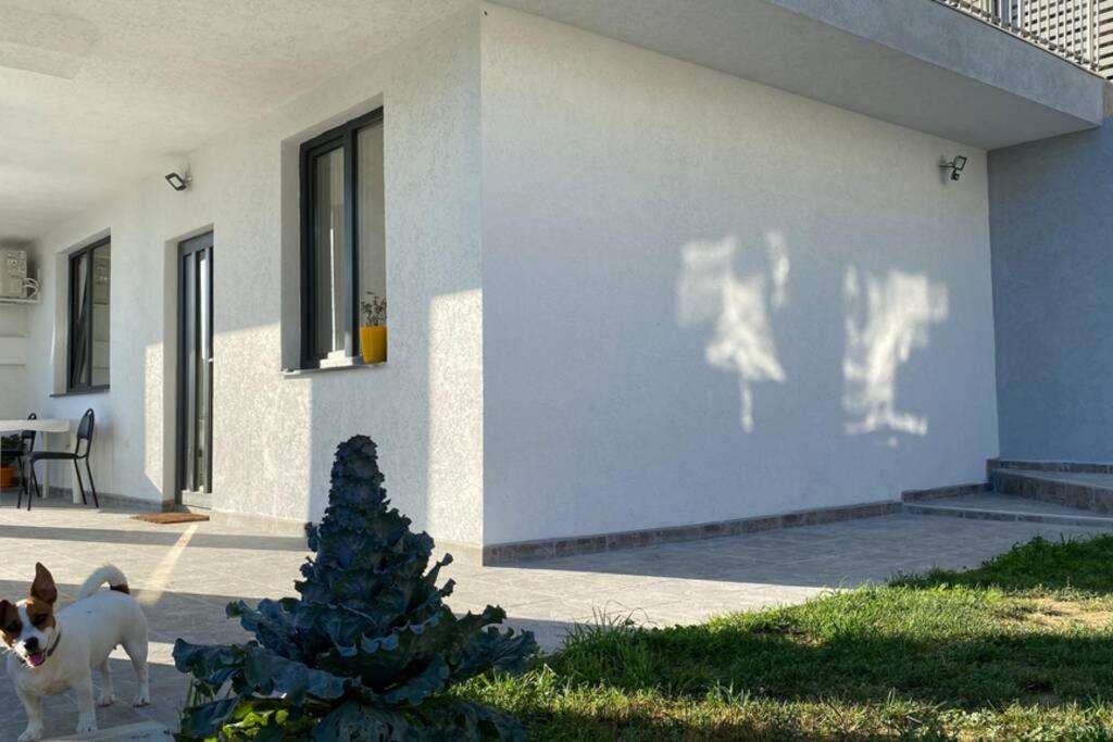 Lola Seaview Guest House. Уютный Домик В Варне Varna Exterior foto